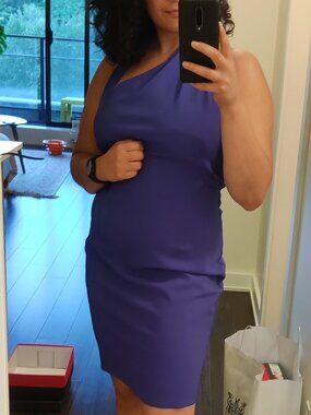 Halston Heritage Blue Dress